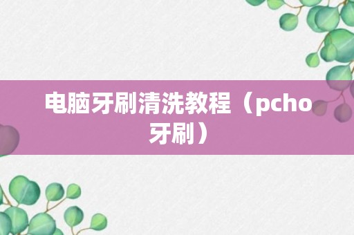 电脑牙刷清洗教程（pcho牙刷）