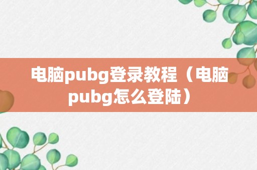 电脑pubg登录教程（电脑pubg怎么登陆）