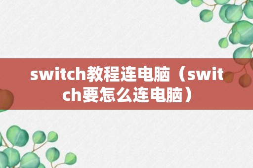 switch教程连电脑（switch要怎么连电脑）