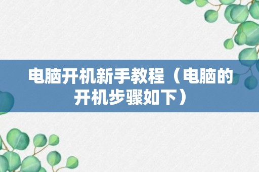 电脑开机新手教程（电脑的开机步骤如下）