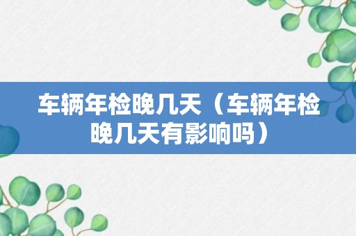 车辆年检晚几天（车辆年检晚几天有影响吗）