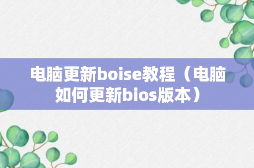 电脑更新boise教程（电脑如何更新bios版本）