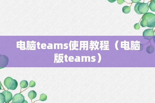 电脑teams使用教程（电脑版teams）