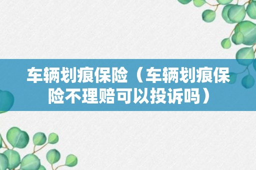 车辆划痕保险（车辆划痕保险不理赔可以投诉吗）