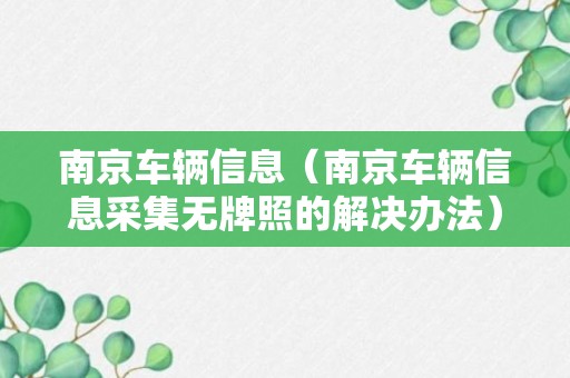 南京车辆信息（南京车辆信息采集无牌照的解决办法）