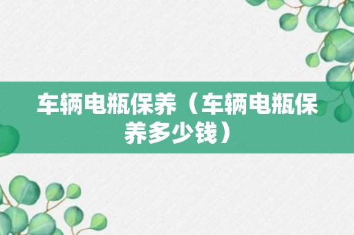 车辆电瓶保养（车辆电瓶保养多少钱）