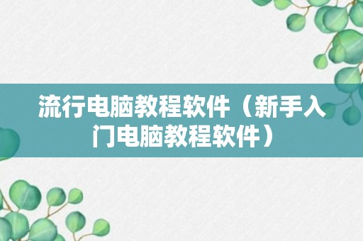 流行电脑教程软件（新手入门电脑教程软件）