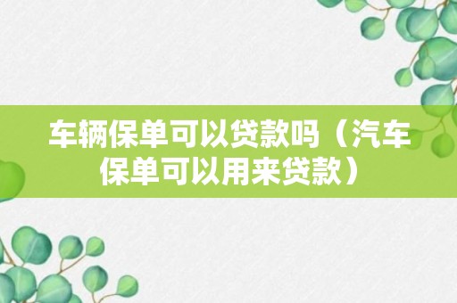 车辆保单可以贷款吗（汽车保单可以用来贷款）