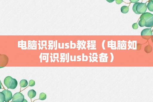 电脑识别usb教程（电脑如何识别usb设备）