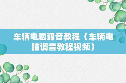 车辆电脑调音教程（车辆电脑调音教程视频）