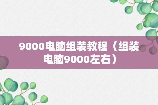 9000电脑组装教程（组装电脑9000左右）