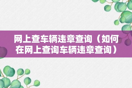 网上查车辆违章查询（如何在网上查询车辆违章查询）