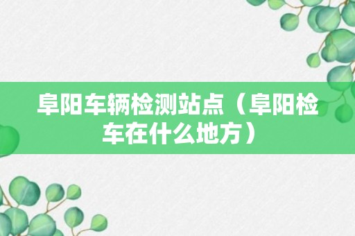 阜阳车辆检测站点（阜阳检车在什么地方）