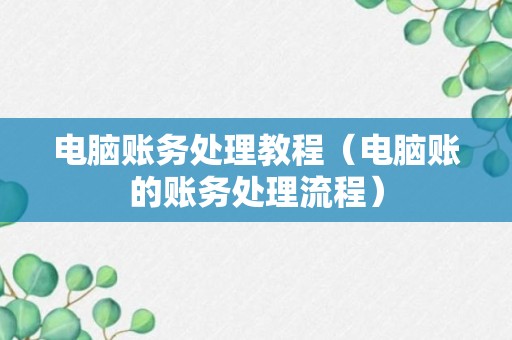 电脑账务处理教程（电脑账的账务处理流程）