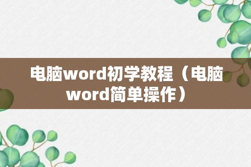 电脑word初学教程（电脑word简单操作）