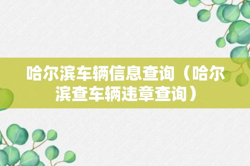 哈尔滨车辆信息查询（哈尔滨查车辆违章查询）