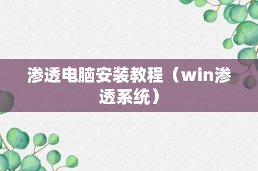 渗透电脑安装教程（win渗透系统）