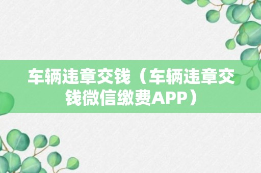 车辆违章交钱（车辆违章交钱微信缴费APP）