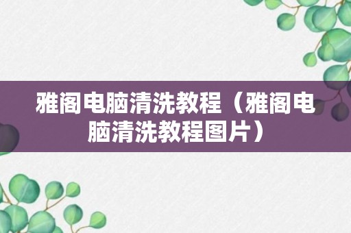 雅阁电脑清洗教程（雅阁电脑清洗教程图片）