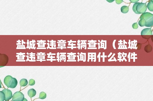 盐城查违章车辆查询（盐城查违章车辆查询用什么软件）