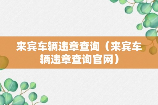 来宾车辆违章查询（来宾车辆违章查询官网）