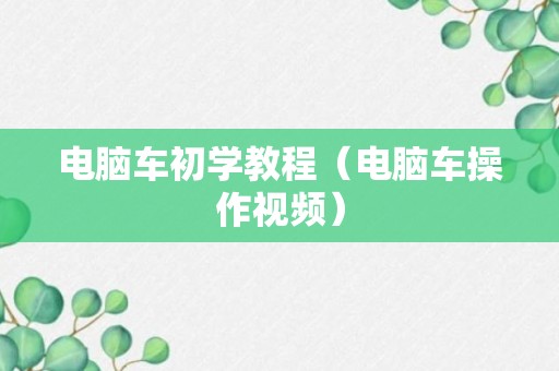 电脑车初学教程（电脑车操作视频）