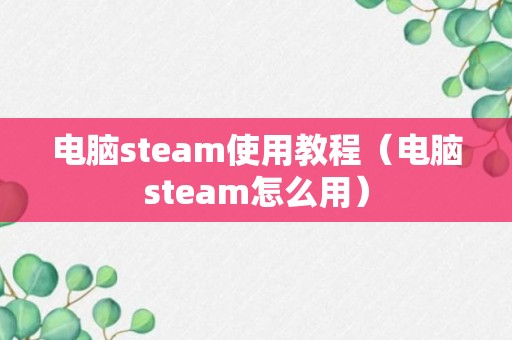 电脑steam使用教程（电脑steam怎么用）