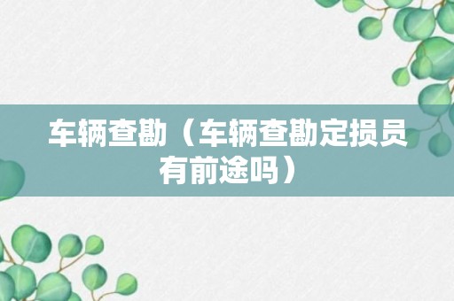 车辆查勘（车辆查勘定损员有前途吗）