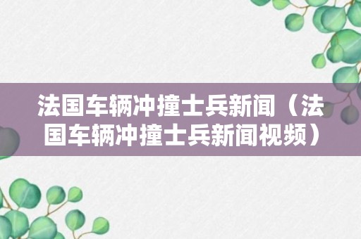 法国车辆冲撞士兵新闻（法国车辆冲撞士兵新闻视频）