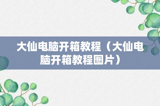 大仙电脑开箱教程（大仙电脑开箱教程图片）