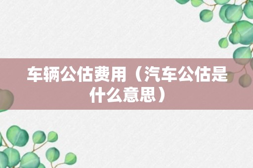 车辆公估费用（汽车公估是什么意思）