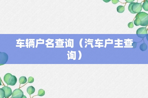 车辆户名查询（汽车户主查询）