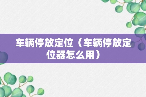 车辆停放定位（车辆停放定位器怎么用）