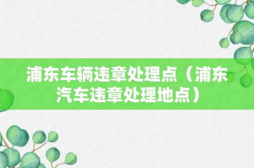 浦东车辆违章处理点（浦东汽车违章处理地点）