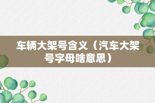 车辆大架号含义（汽车大架号字母啥意思）