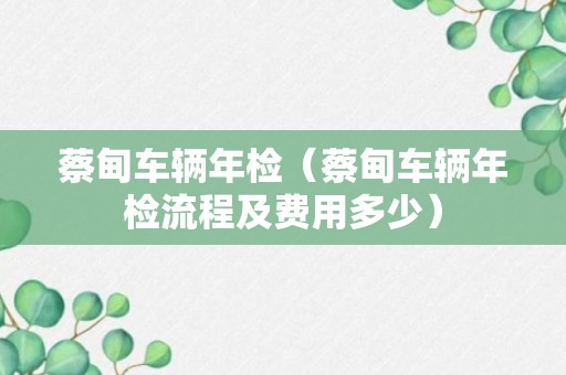 蔡甸车辆年检（蔡甸车辆年检流程及费用多少）