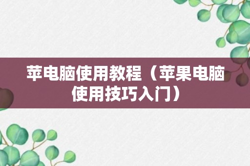 苹电脑使用教程（苹果电脑使用技巧入门）