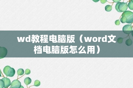 wd教程电脑版（word文档电脑版怎么用）