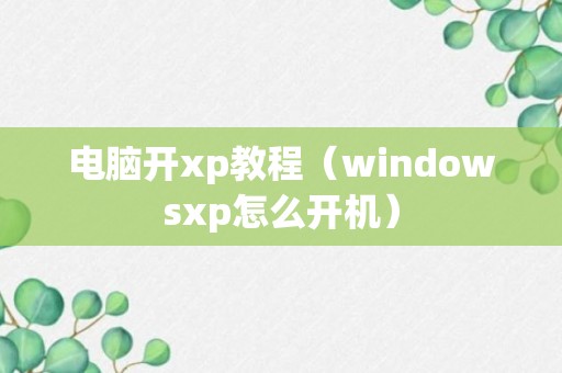 电脑开xp教程（windowsxp怎么开机）