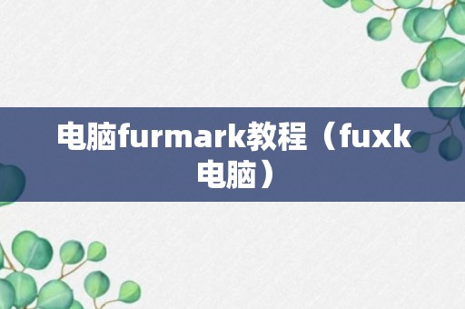 电脑furmark教程（fuxk电脑）