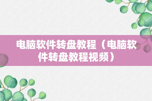 电脑软件转盘教程（电脑软件转盘教程视频）