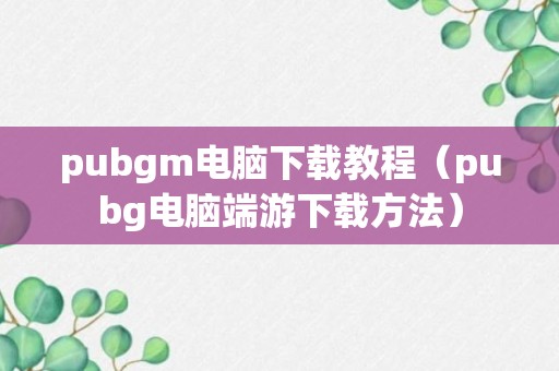 pubgm电脑下载教程（pubg电脑端游下载方法）