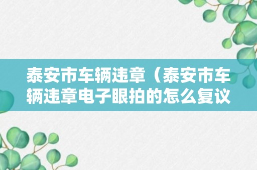 泰安市车辆违章（泰安市车辆违章电子眼拍的怎么复议）