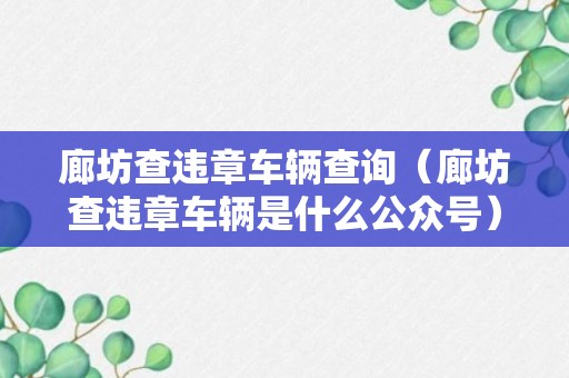 廊坊查违章车辆查询（廊坊查违章车辆是什么公众号）