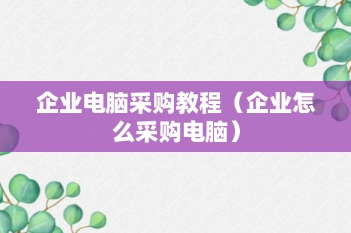 企业电脑采购教程（企业怎么采购电脑）