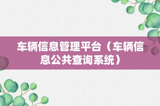 车辆信息管理平台（车辆信息公共查询系统）