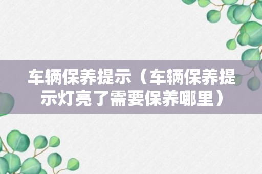 车辆保养提示（车辆保养提示灯亮了需要保养哪里）