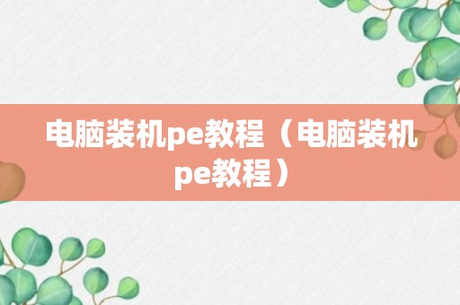 电脑装机pe教程（电脑装机pe教程）