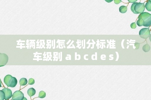 车辆级别怎么划分标准（汽车级别 a b c d e s）