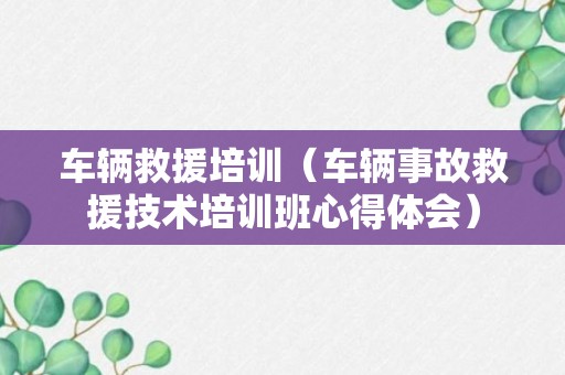 车辆救援培训（车辆事故救援技术培训班心得体会）